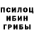 Псилоцибиновые грибы мухоморы Will Eriov