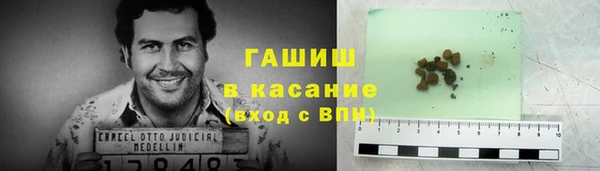 индика Абаза