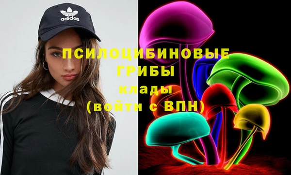 индика Абаза