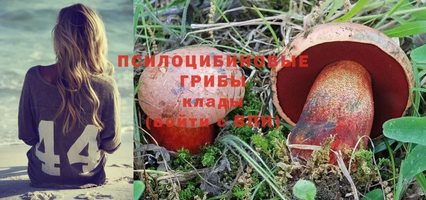 индика Абаза